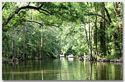 The Dora Canal