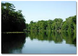 Harris Chain Double Run Canoe and Kayak Trail