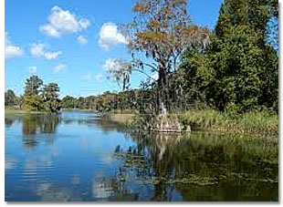 Haines Creek Canoe and Kayak Trail
