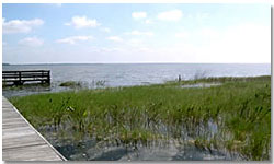 View Across Lake Yale