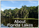 About Florida Lakes